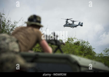 Engineering 3. Klasse Philip Rose, zugeordnet zu den Naval Mobile Konstruktion Bataillon (NMCB) 11, steht mit einer M-240 B Light Machine Gun (LMG) mit Leerzeichen geladen und Uhren a B MV-22 Osprey transport Marines 3 Bataillon zugeordnet, 3 Marines für eine Insel Beschlagnahme bohren während der Übung Valiant Shield 2016 in Tinian, Commonwealth der Nördlichen Marianen (Cnmi), 20. September 2016. Valiant Shield ist eine Biennale, US Air Force, Navy und Marine Corps Übung in Guam gehalten, die sich auf reale Kenntnisse bei der Aufrechterhaltung der teilstreitkräfteübergreifenden See, in der Luft, an Land und im Cyberspace. Ph Stockfoto