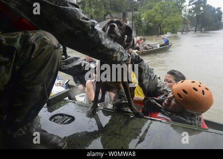 Texas Nationalgarde aus der 386 Engineer Battalion arbeiten neben Ersthelfer von Texas Task Force ein und der Cypress Creek Feuerwehr lokale Bürger von schweren Überschwemmungen im Cypress Creek, 28. August 2017 zu retten. Soldaten, Feuerwehrleute, Sanitäter und Nachbarn sichergestellt Mehr als 1.000 Menschen und hunderte von Hunden und Katzen sicher waren, ihre bergung auf trockenem Boden und lokalen Schutz. Foto vom Kapitän Martha Nigrelle/U.S. Army National Guard/UPI Stockfoto