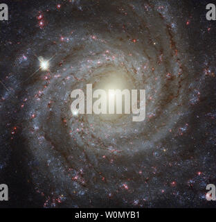 Dieses Bild, am 14. Februar 2018 veröffentlicht, der Spiralgalaxie NGC 3344, die rund 20 Millionen Lichtjahre von der Erde entfernt, ist ein Verbund von Bildern durch sieben verschiedene Filter berücksichtigt. Sie decken Wellenlängen im Bereich vom ultravioletten bis in den optischen und nah-infraroten. Sie erstellen ein detailliertes Bild der Galaxie und erlauben Astronomen viele verschiedene Aspekte der it zu studieren. Schönheit, Anmut, Geheimnis - dieser prächtige Spiralgalaxie hat alle Qualitäten eines perfekten galaktischen Valentine. Die von der NASA/ESA Hubble Space Teleskop, die Galaxie NGC 3344 präsentiert sich Gesicht erfasst, so Stockfoto