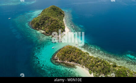 Paradies Inseln mit weißem Sand, Palmen und kristallklarem Wasser in Palawan, Philippinen Stockfoto