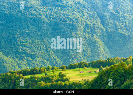 Grünen sonnigen Tal in den Bergen. Bunte slowenischen Landschaft Stockfoto