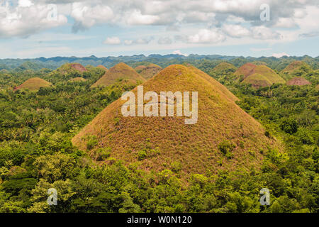 Chocolate Hills auf Bohol, Philippinen. Chocolate Hills auf Bohol, Philippinen. Wunderschöne Landschaft von Hunderten von braunen Hügeln Stockfoto