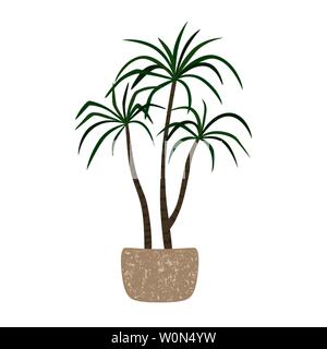 Dracaena in einen Topf Zimmerpflanze. Vector Illustration Stock Vektor