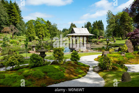 Blick auf den neuen japanischen Garten Cowden in Dollar, Clackmannanshire, Schottland, Großbritannien Stockfoto