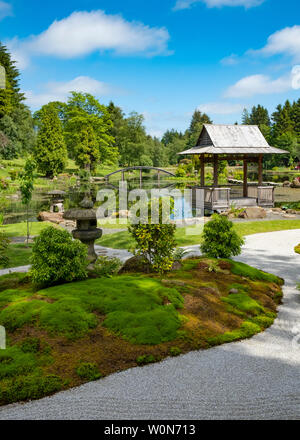 Blick auf den neuen japanischen Garten Cowden in Dollar, Clackmannanshire, Schottland, Großbritannien Stockfoto