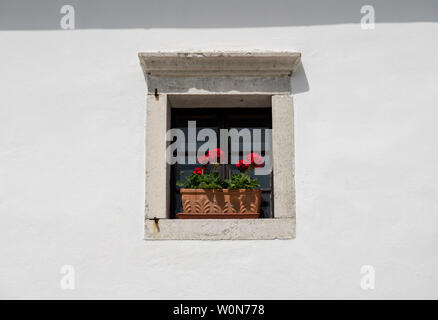 Schlicht und einfach Blumenarrangement im Fenster in der Mauer aus Stein Stockfoto