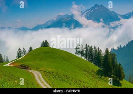 Schönen schweizer Alpen. Super Bergblick mit hohen Gipfeln, grüne Hügel und Wolken tief im Tal Stockfoto