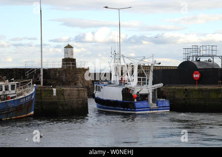 Fischerboote im Hafen von pittenweem ein Hafen an der Küste von Fife in Schottland. Fisch ist sowohl landete und im Großhandel Fischmarkt Im Hafen verkauft. Stockfoto