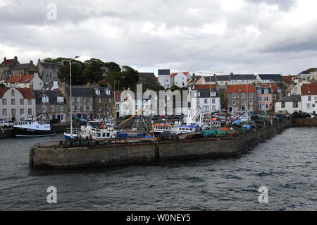 Fischerboote im Hafen von pittenweem ein Hafen an der Küste von Fife in Schottland. Fisch ist sowohl landete und im Großhandel Fischmarkt Im Hafen verkauft. Stockfoto