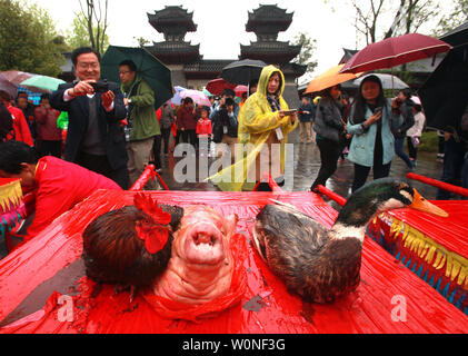 Durchführen einer traditionellen chinesischen Qing Ming (Grab Fegen) Zeremonie zu Ehren Cai Lun in seinem Grab Tempel, mit Tänzen, bei denen ein leben Hühner, ein Schwein Kopf und eine Ente, in einer kleinen Stadt in der chinesischen Provinz Shaanxi, zentral am 6. April 2015. Cai Lun war ein chinesischer Eunuch und politischen Beamten zu Kaiser Er und ist historisch als Erfinder des Papiers und die papermakiing Prozess betrachtet, in den Formen erkennbar in den modernen Zeiten wie Papier. Foto von Stephen Rasierer/UPI Stockfoto