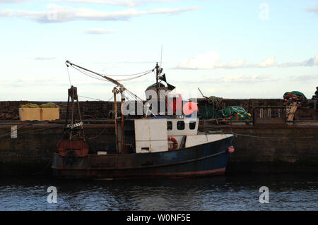 Fischerboote im Hafen von pittenweem ein Hafen an der Küste von Fife in Schottland. Fisch ist sowohl landete und im Großhandel Fischmarkt Im Hafen verkauft. Stockfoto