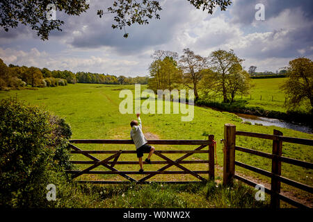 Sommer Landwirte Gate bei Bollin Tal Weg, Wilmslow, Cheshire Freizeit Pfad spiegeln den Lauf des Flusses Bollin Stockfoto