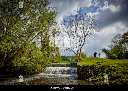 Sommer, Wasserfall bei Bollin Tal Weg, Wilmslow, Cheshire Freizeit Pfad spiegeln den Lauf des Flusses Bollin Stockfoto