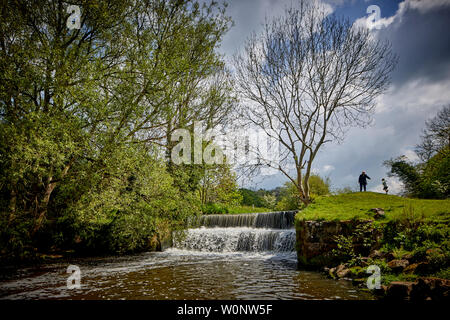 Sommer, Wasserfall bei Bollin Tal Weg, Wilmslow, Cheshire Freizeit Pfad spiegeln den Lauf des Flusses Bollin Stockfoto