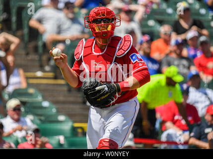 Juni 23, 2019: Texas Rangers catcher Tim Federowicz #50 an einem Nachmittag MLB Spiel zwischen den Chicago White Sox und die Texas Rangers bei Globe Life Park in Arlington, TX Texas besiegt Chicago 7-4 Albert Pena/CSM Stockfoto