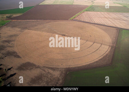 Bauernhof auf der Liverpool plains Northern nsw Stockfoto