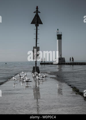 Dam, Möwen und Leuchtturm in Kincardine. Stockfoto