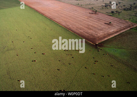 Liverpool plains Northern nsw Australien Stockfoto
