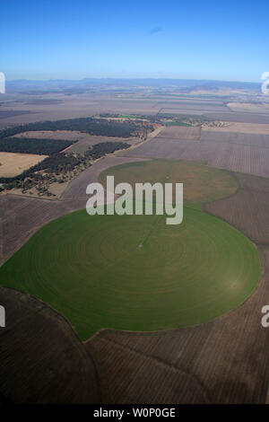 Liverpool plains Northern nsw Australien Stockfoto