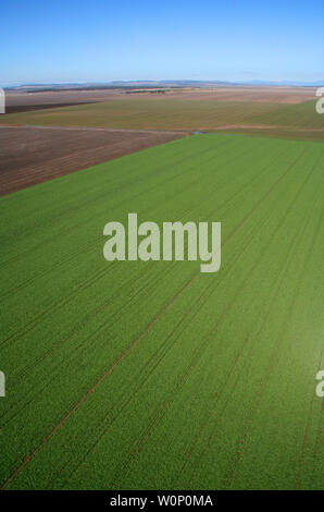Liverpool plains Northern nsw Australien Stockfoto