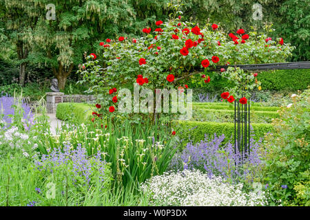 Rose trellis, Rosengarten, VanDusen Botanical Garden, Vancouver, British Columbia, Kanada Stockfoto
