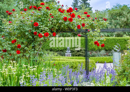 Rose trellis, Rosengarten, VanDusen Botanical Garden, Vancouver, British Columbia, Kanada Stockfoto