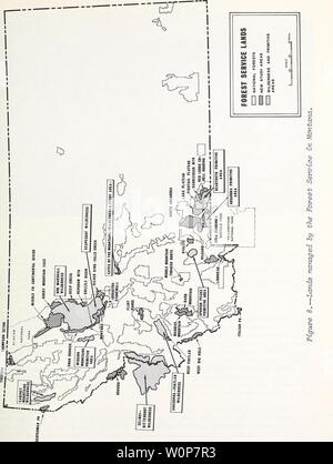 Archiv Bild von Seite 22 Eine deskriptive Analyse von Montana. Eine deskriptive Analyse der Montana Waldressourcen descriptiveanaly 11 schw Jahr: 1975 11. Stockfoto