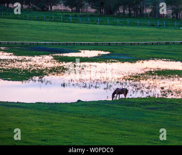 Die pastorale Landschaft der chinesisch-russischen Grenze Stockfoto