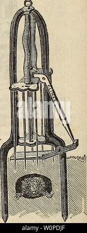 Archiv Bild von Seite 47 der beschreibenden Katalog der Samen. Beschreibender Katalog der Samen: Garten, Feld, Blume, Düngemittel, &c., landwirtschaftliche und gartenbauliche implementiert descriptivecatal 1889 reev Jahr: 1889 Dieses Instrument funktioniert gut unter den Reihen der Sämlinge, unter Zierpflanzen oder überall dort, wo Freiheit von Unkraut gewünscht wird, und eines der besten Instrumente, die je zu diesem Zweck angeboten. Preis, 20 Cent. Der Höhepunkt BODEN MAULWURF FALLE. Es steht ohne eine gleiche aus folgenden Gründen: Bemg ein Selbst-Einstellung Falle besteht keine Gefahr für die Partei, die Sie einstellen. Er wird von mir eingestellt Stockfoto