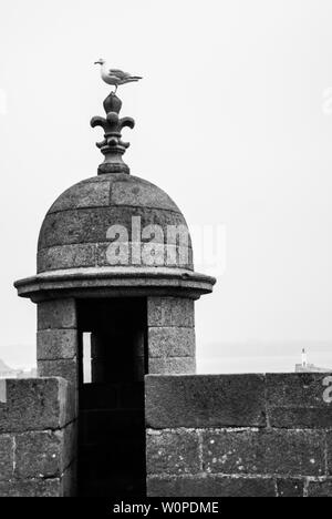 Eine Möwe, stehend auf einem lys Blume Skulptur an der Bastion St. Philip in Saint-Malo. Stockfoto