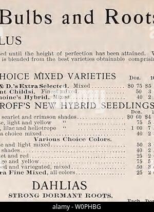 Archiv Bild von Seite 65 der beschreibenden Katalog von Gemüse, Blumen,. Beschreibender Katalog der Gemüse, Blumen und Samen Descriptivecata 00 Weeb Jahr: 18 uu. Zwei Jahre alt, niedrige PI reichen Brunner. Cherry - Crimson. White Baroness. Reines Weiß. AVm. A. in Richardson. Orange. Gelbe Sou pert. Orange-gelb. Erste Größe: 50 c, 12 S 5.00, je 100 $ 25.00. Moss Roses Blanche Moreau. Reines Weiß; Dow-ers in Clustern. Crimson Globe. Dunkle Karmin-rot. Rote Moss. Feine rote, grosse Knospe. AVhite Perpetual. Während Blumen in Clustern. Starke Dormant Pflanzen, jede 50 c, pro Dutzend 5,00 $. Rosa Wichur Stockfoto