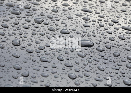 Muster der Regen Wassertropfen perlen auf einer polierten graues Metall oberfläche. Perlen von Regen sitzen auf einem sauberen grauer Hintergrund Stockfoto