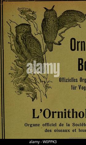 Archiv Bild ab Seite 112 von Der ornithologische Beobachter" (1902). Der ornithologische Beobachter derornithol 1919211922 leider Jahr: 1902 = t1 Der ornithologische Beobachter Offizielles Organ der Schweizer. Für Vogelkunde und Vog Gesel l'Ornithologen Organe officiel de la Gesellschaft suisse pour Ttude des Oiseaux et leur Schutz Stockfoto