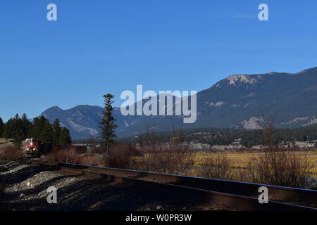 Hlw-kohlenzug im Columbia Valley Stockfoto