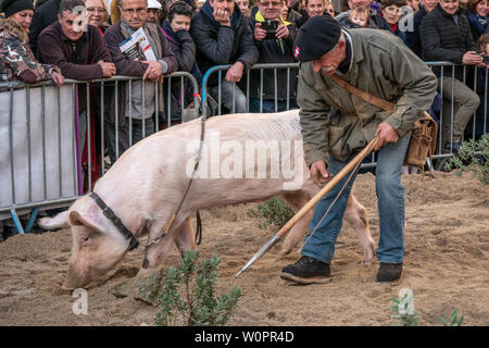 Uzès, Frankreich: 20. Januar 2019: Die 2019 Uzes Trüffel Festival, an dem Ort, an aux Herbes, wo die Menschen feiern, Geschmack, kaufen und erfahren Sie mehr über die Trüffel Stockfoto