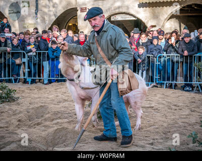 Uzès, Frankreich: 20. Januar 2019: Die 2019 Uzes Trüffel Festival, an dem Ort, an aux Herbes, wo die Menschen feiern, Geschmack, kaufen und erfahren Sie mehr über die Trüffel Stockfoto