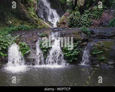 Nahaufnahme des elabana fällt in Lamington National Park Stockfoto