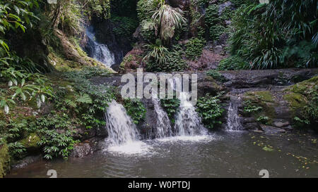 Elabana fällt im Lamington National Park in Queensland Stockfoto