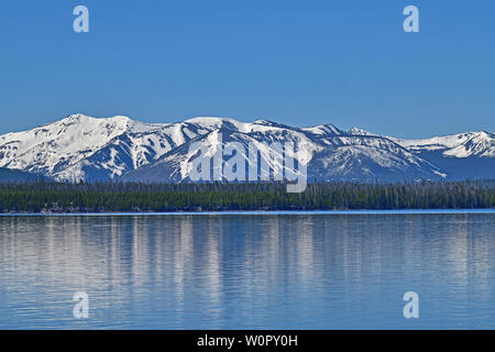 Yellowstone Lake und Weißen Berge Stockfoto