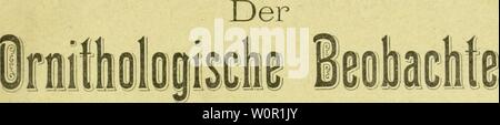 Archiv Bild ab Seite 202 Der ornithologische Beobachter" (1902). Der ornithologische Beobachter derornithologisc 06 alas Jahr: 1902 Jahrgang VI ld08 Heft 1 & 2 iisiii iiMiraiir Monatsberichte für Vogelkunde und Vogelschutz herausgegeben und redigiert von Carl Daut in Bern (Schweiz) Abonnementspreise: Jährlich Fr. 4. -. Für das Ausland Mk. 4. -. Einzelpreis des Heftes 40 Cts. 2 gespallene Petitzeile oder deren Raum Scliwelz 12 Cts., Ausland 12 Pf. Wiederholung Rabatt. Stockfoto