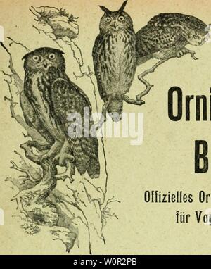 Archiv Bild ab Seite 214 von Der ornithologische Beobachter" (1902). Der ornithologische Beobachter derornithologisc 15 alas Jahr: 1902 Der ornithologische Beobachter Olfizielles Organ der Schweizer. Gesellsciiaft für Vogelkunde und Vogelschutz L'Ornithologiste Organe officiel de la Socit suisse pour l'tude des Oiseaux et leur Schutz Abonnementspreise: Prix des Abonnements: Schweiz: Bei der Expedition werden - stellt, jÃ¤hrlich Fr. 5. bei der Post lieferpriorität. . Â" 5. 20 Ausland Â" 6. Â Suisse: par! e Bureau de l'ex-pÃ¤A usgabe Frs. 5. Â par la Poste.... Â" 5,20 Etranger Â" 6. Â Vif Jahrgr Stockfoto