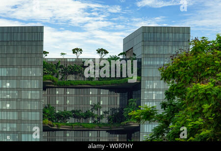 Umweltfreundliche Gebäude aus Glas mit vertikalen Garten in der modernen Stadt. Grüne Pflanze und tree forest und Efeu auf der Fassade auf nachhaltiges Bauen. Energieeinsparung Stockfoto