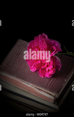 Rose Blume auf einem Haufen von alten, antiken Bücher. Auf einem schwarzen Hintergrund. Stockfoto