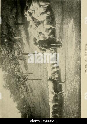 Archiv Bild ab Seite 314 von "Der Deutsche Schäferhund in Wort. Der Deutsche Schäferhund in Wort und Bild derdeutschesc 00 Schritt Jahr: 1921 297 Stockfoto