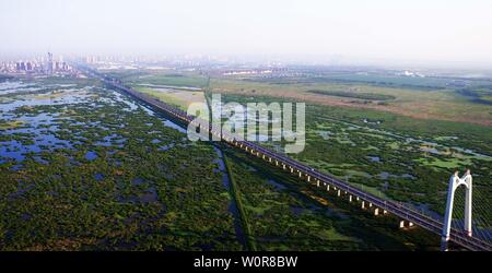 (190628) - Peking, 28. Juni 2019 (Xinhua) - Foto am 4. Juli, 2017 zeigt die Landschaft des Longfeng wetland Nature Reserve in Daqing Stadt, im Nordosten der chinesischen Provinz Heilongjiang. Wenn der Sommer kommt, die Fujin nationalen Wetland Park im Nordosten der chinesischen Provinz Heilongjiang wird ein Paradies für Vögel. Jedoch war es eine vollständig andere Szene vor Jahren. Der Wetland Park verwendet eine riesige Fläche von tief liegenden Ackerland zu werden. Die ursprünglichen ökologischen System der Feuchtgebiet wurde restauriert seit Politik umgesetzt wurden rn Ackerland in die Wälder, Grasland und Feuchtgebiete über t zu drehen Stockfoto