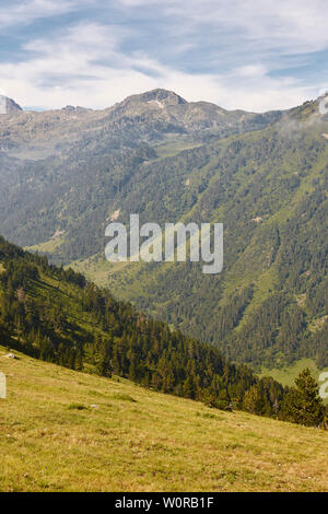 Aigues Tortes Nationalpark Wald landschaft. Katalonien, Spanien Stockfoto