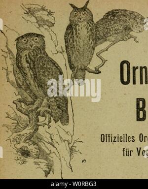 Archiv Bild ab Seite 358 von Der ornithologische Beobachter" (1902). Der ornithologische Beobachter derornithologisc 11 alas Jahr: 1902 Der Beobachter OrnithologisGhe Olfizielles Organ der Schweizer. Gesellschaft für Vogelkunde und Vogelschutz L'Ornithologiste Organe officiel de la Sociale suisse pour l'tude et la protection des oiseaux Abonnementspreise: Schweiz: Bei der Expedition werden - stellt, jÃ¤hrlich Fr. 4. bei der Post lieferpriorität. . Â" 4.10 Ausland Â" 5. Der Preis des Abonnements: Suisse: par le Bureau de I'ex-pdition Frs. 4. par la Poste.... Â" 4.10 Etranger Â" 5. VI Jahrgang: Annee 1913 Stockfoto