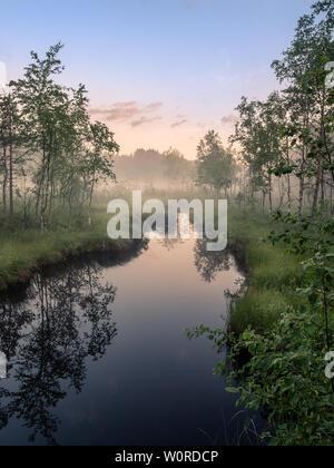 Idyllischer Blick auf den Fluss mit ruhigen und neblig Sonnenuntergang im Sommer Nacht in Feuchtgebieten, Finnland Stockfoto