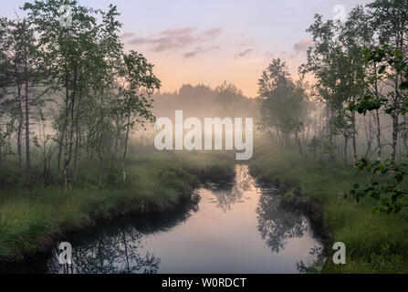 Idyllischer Blick auf den Fluss mit ruhigen und neblig Sonnenuntergang im Sommer Nacht in Feuchtgebieten, Finnland Stockfoto