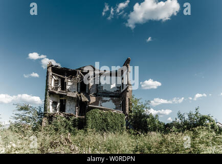 Ruinen einer alten Wohnhaus von Unkraut und Bäume in Detroit City überwuchert, Michigan Stockfoto